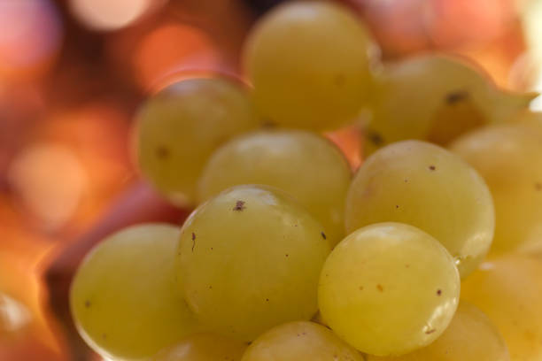 white grapes close up bokeh effect