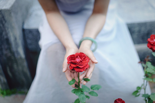 A beautiful woman siting in the garden with red rose