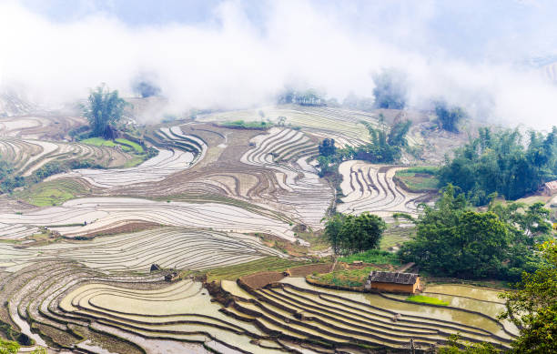 istock Field rice is prepared when viewed from high mountains. 966416118