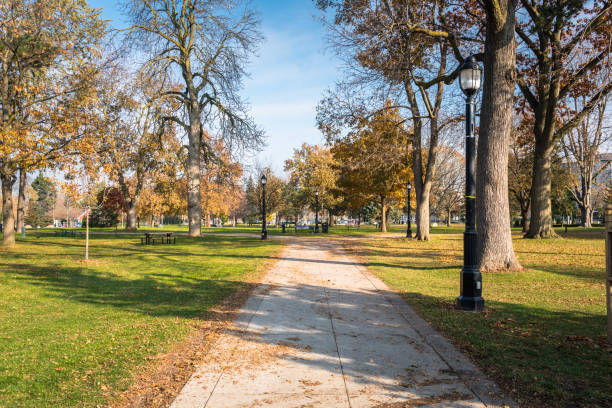 istock Deserted Park on Sunny Autumn Morning 966419158