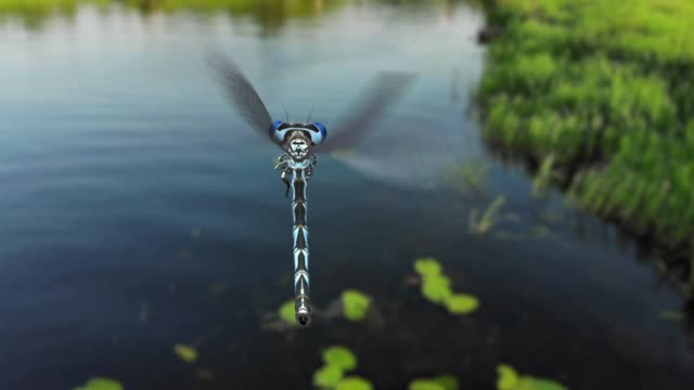blue dragon fly flying over a river in Ireland