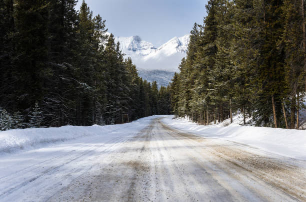 istock Mountain Road through a Forest in Winter 966419296