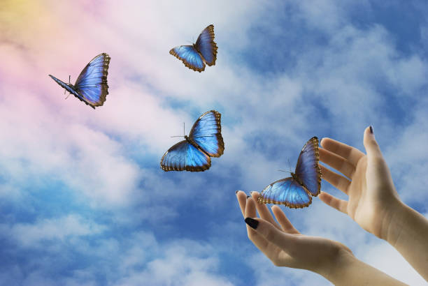 mystical flight of freedom open hands let go of beautiful blue butterflies in the mystical sky releasing stock pictures, royalty-free photos & images