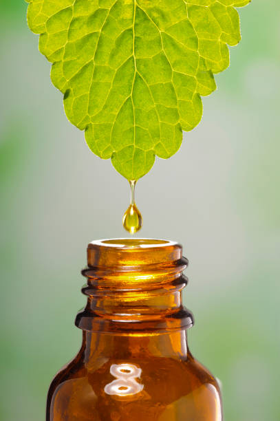 alternative medizin mit essenz der heilpflanze - healthy lifestyle homeopathic medicine aloe plant stock-fotos und bilder