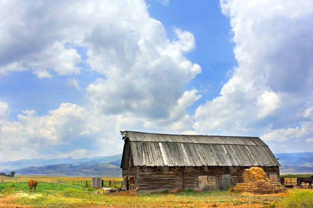 istock Barn With Wooden Roof 966434248
