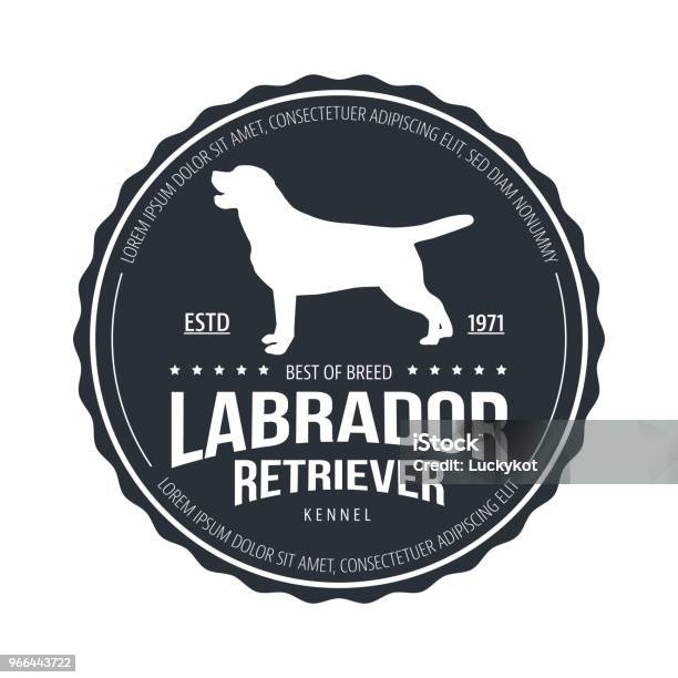 Badge Chien Vintage Labrador Retriever Illustration Vectorielle Vecteurs libres de droits et plus d'images vectorielles de Chien