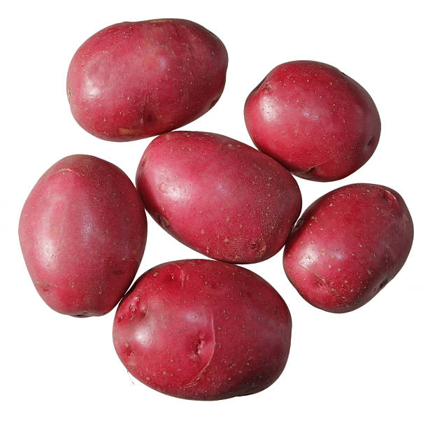 rote kartoffeln - red potato raw potato red vegetable stock-fotos und bilder