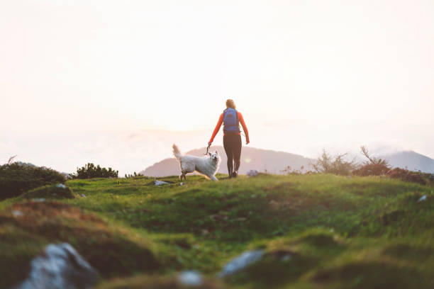 istock Friends on top of the mountain 966475542