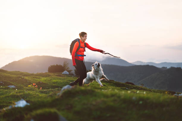 istock Beautiful young tourist girl with backpack at mountains 966478262