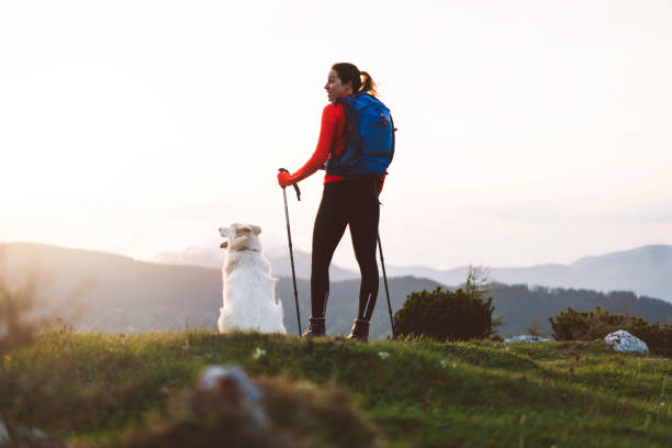 istock Young woman hiking with mountain range in the background 966478400