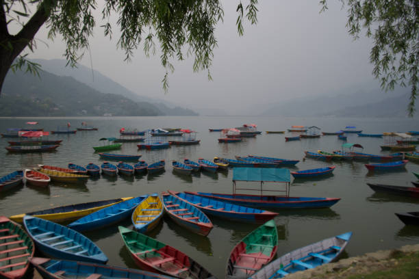 istock Boats on Phewa Lake C 966479388