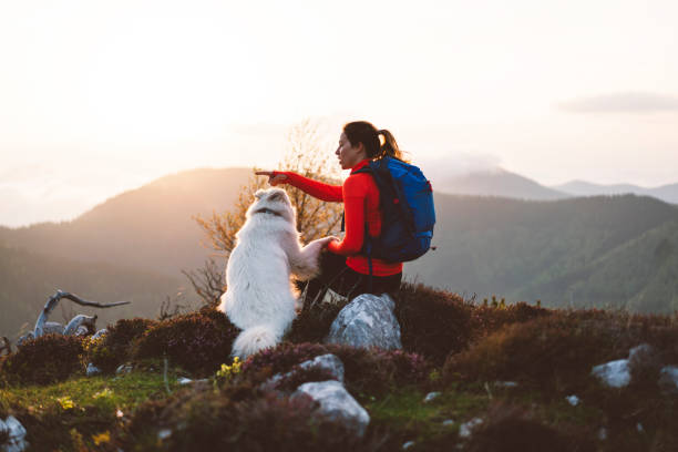 istock Woman hiker standing in rural scenery at springtime 966483034