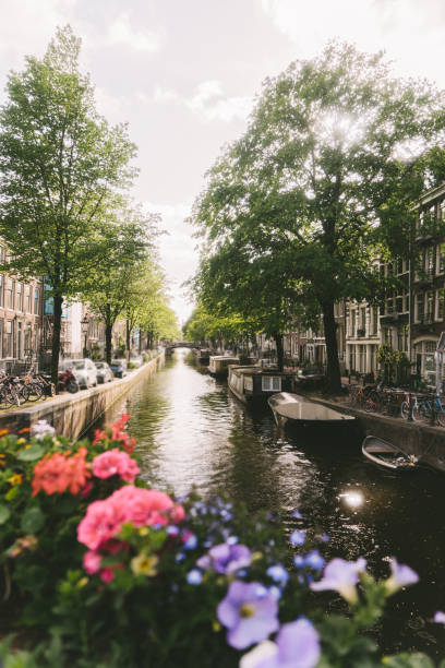 istock Canal in Amsterdam at sunset 966483116