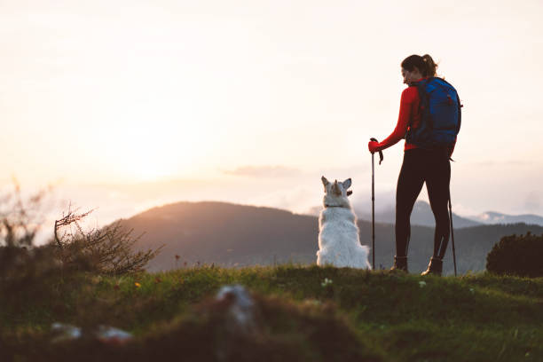 istock Best friends enjoying the sunset in the mountains 966483492