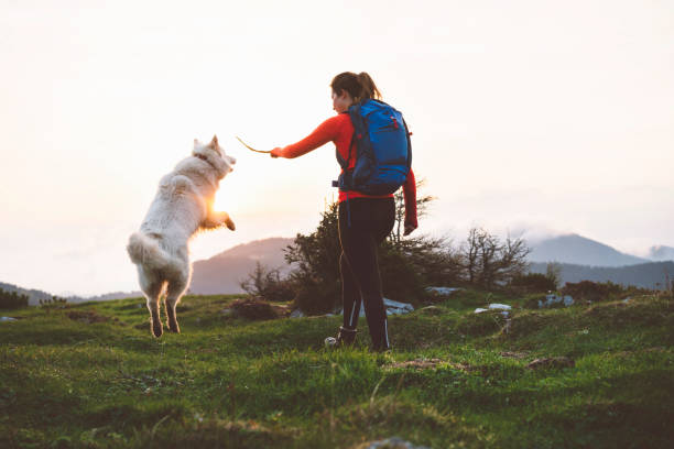 istock In the mountains with my best friend 966486102