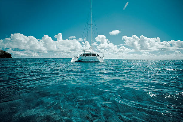 istock Catamaran on calm green shallow waters 96649239
