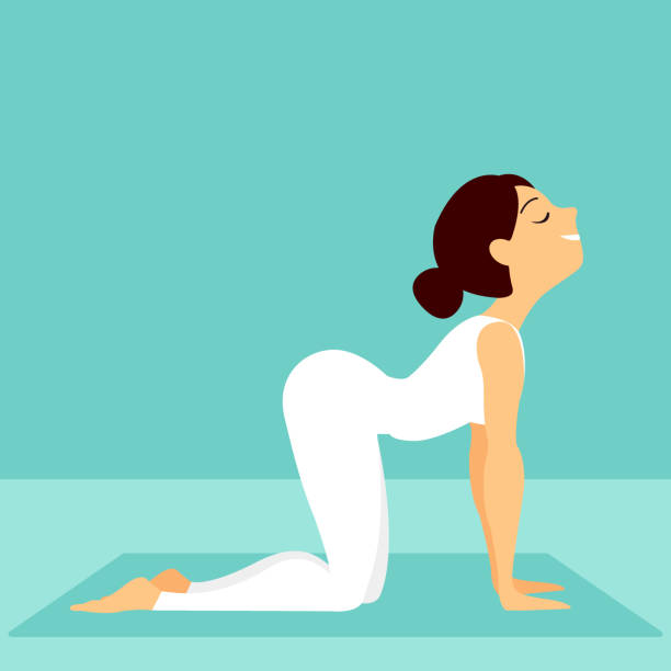 Yoga. Woman Meditating illustration Bidalasana cat pose yoga woman posture position in silhouette on studio blue background. Young indonesian woman meditating, doing yoga pose and asana. Fitness girl enjoying yoga indoors in sport clothes, working out in gym class. Health and healing concept. Flat icon eps10 illustration vector art cat pose yoga stock illustrations