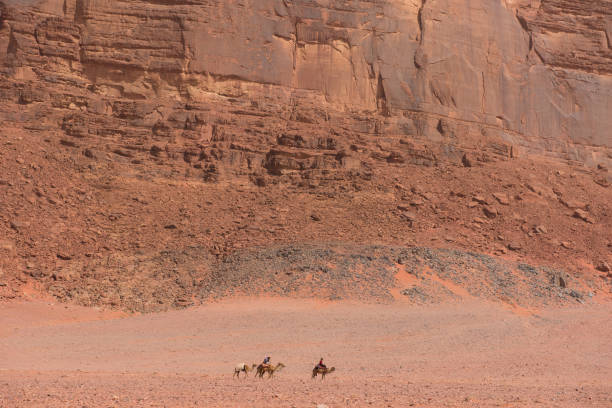 kamel-karawane in der wüste wadi rum, jordanien - jordan camel wadi rum arabia stock-fotos und bilder