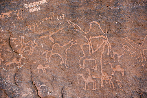Anfashieh prehistoric inscriptions and petroglyps on a stone wall. Rock art depicting a caravan of camels from Nabatean and Thamudic period in Wadi Rum, Jordan
