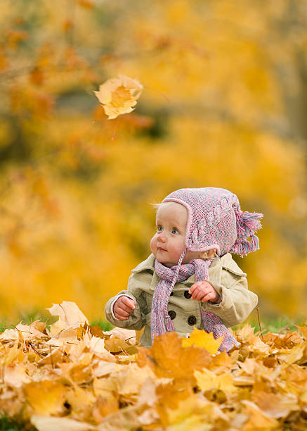 One Caucasian Baby Girl Sitting in Golden Autumn Leaves stock photo