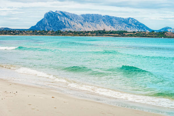 istock Tavolara Island and La Cinta beach San Teodoro 966503280