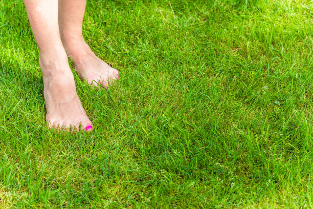 istock bare feet on green grass in summer 966507106