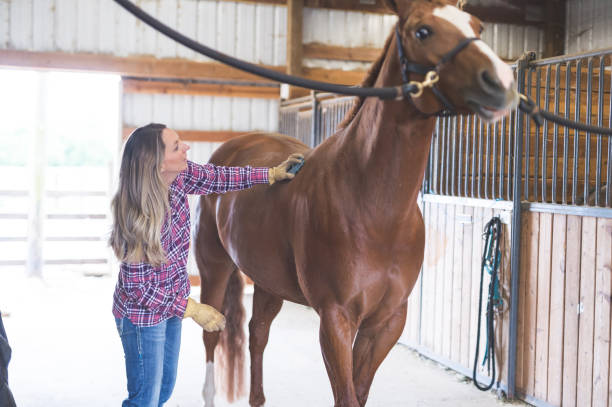 istock A Woman and Her Horse 966509576
