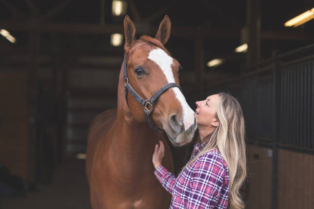 istock A Woman and Her Horse 966509580