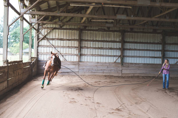 istock A Woman and Her Horse 966509592