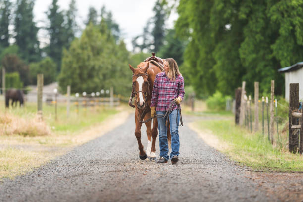 istock A Woman and Her Horse 966509604