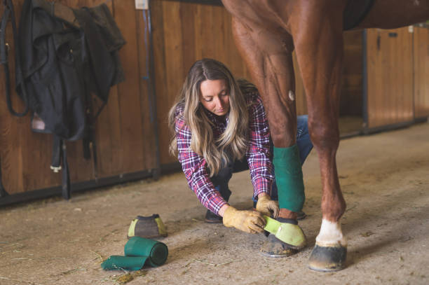 istock A Woman and Her Horse 966509606