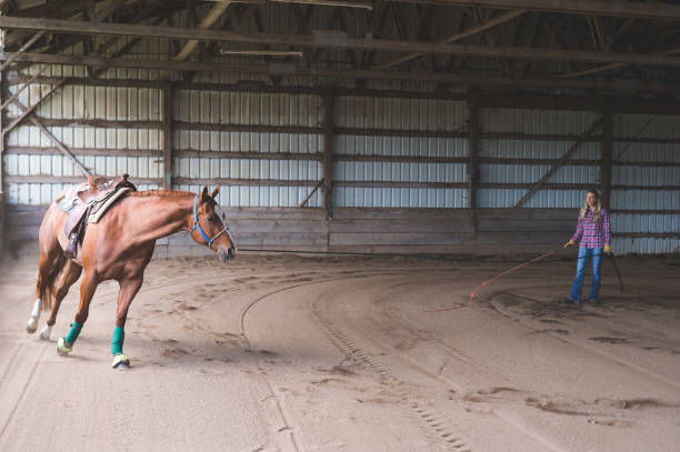 istock A Woman and Her Horse 966510646