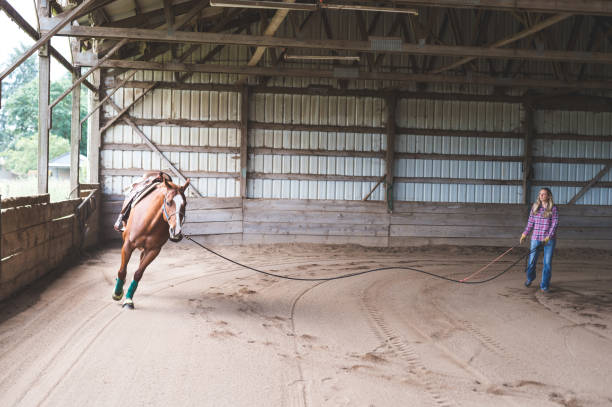 istock A Woman and Her Horse 966510658