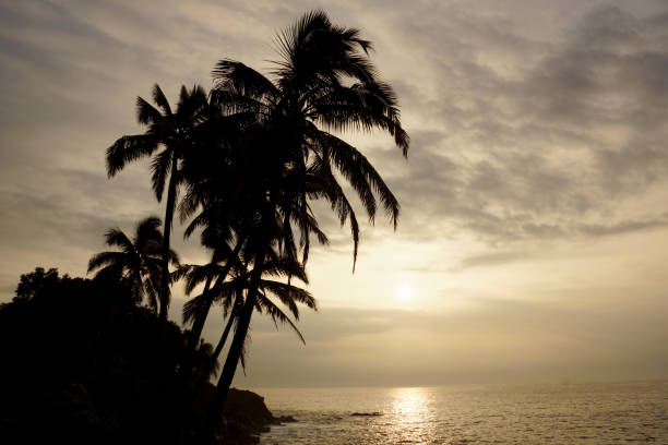 istock Sunrise over the ocean with waves crashing along rocky shore 966516468