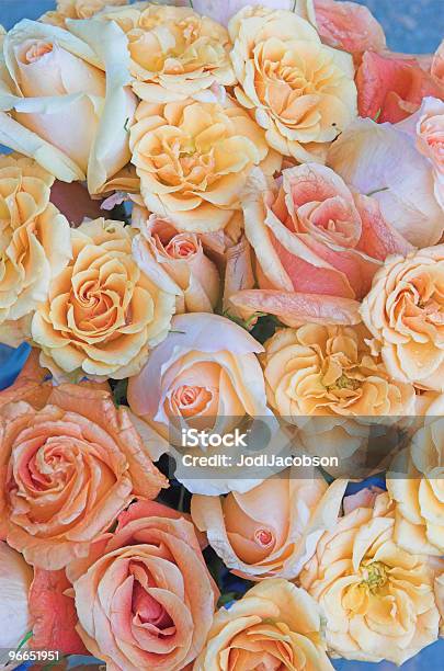 Hochzeit Bouquet Pastell Rosen Stockfoto und mehr Bilder von Bestäubung - Bestäubung, Blatt - Pflanzenbestandteile, Blume