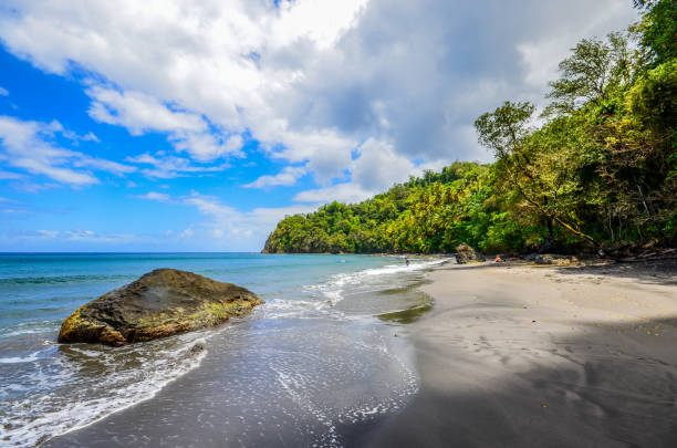 istock Caribbean Martinique wild beach 966523902