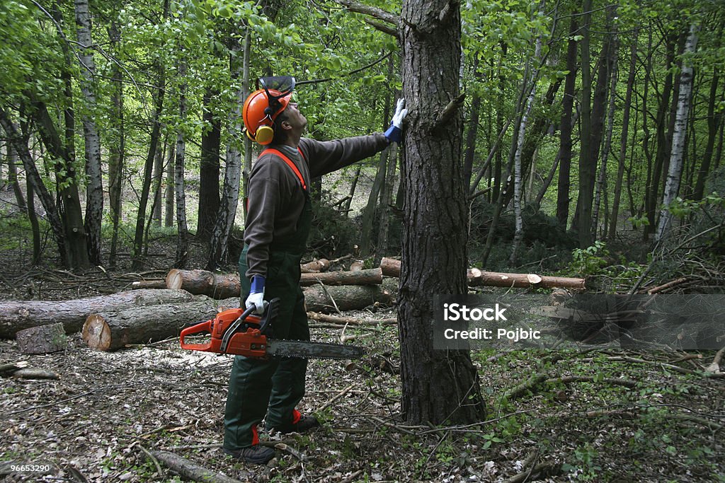 forestry worker  Chainsaw Stock Photo