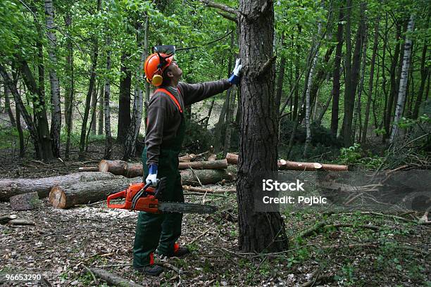 Forestry Worker Stock Photo - Download Image Now - Chainsaw, Color Image, Cutting