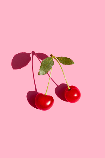 Cherry fruit isolated on pink background