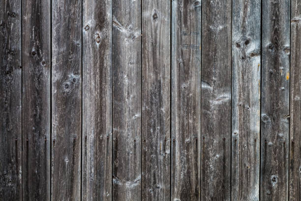 istock Aged wooden grey wall as rustic background 966555508
