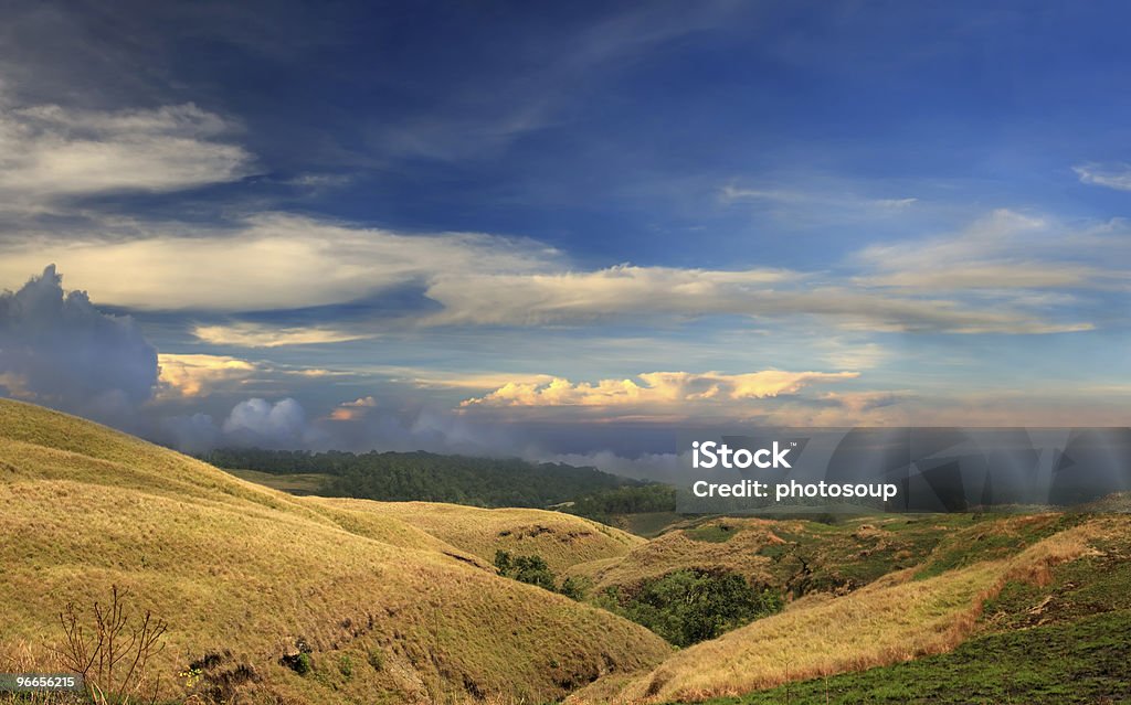 Cena rural - Foto de stock de Agricultura royalty-free