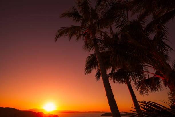 istock Sunset at One Tree Hill, Hamilton Island. Australia 966567020