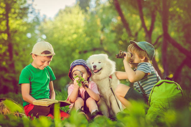 маленькие исследователи с собакой, открываюей природу - little boys discovery binoculars child стоковые фото и изображения