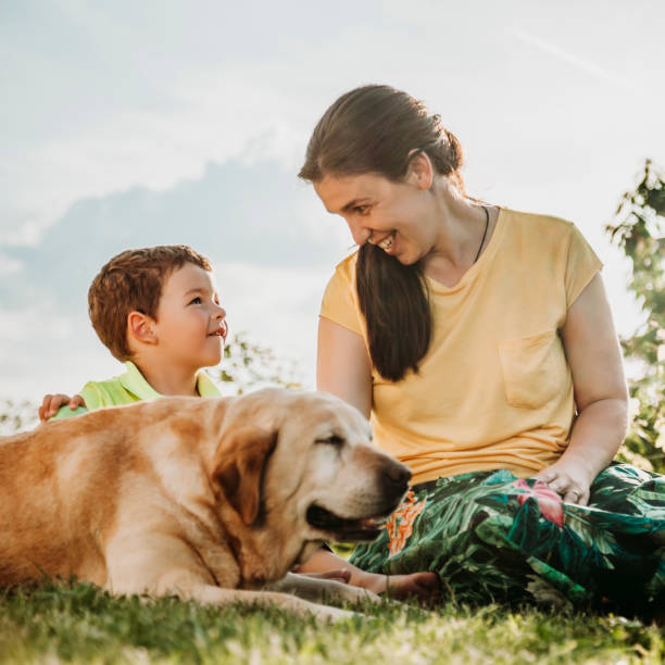 istock Happy boy and mother with dog 966573858