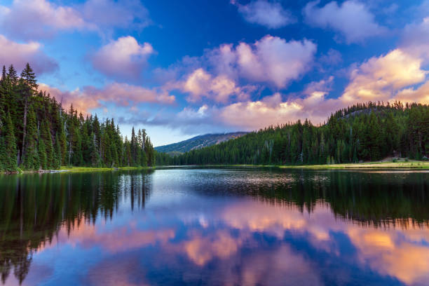 mt bachelor riflette a todd lake bend, oregon - lake foto e immagini stock