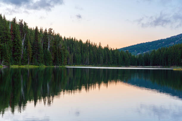 ta soltero reflejando en todd curva del lago, oregon - spring forest scenics reflection fotografías e imágenes de stock