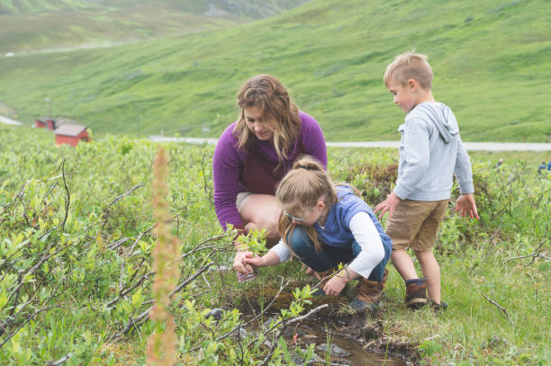 istock Mom looks for fish in a tiny Alaska stream with her two children 966578414