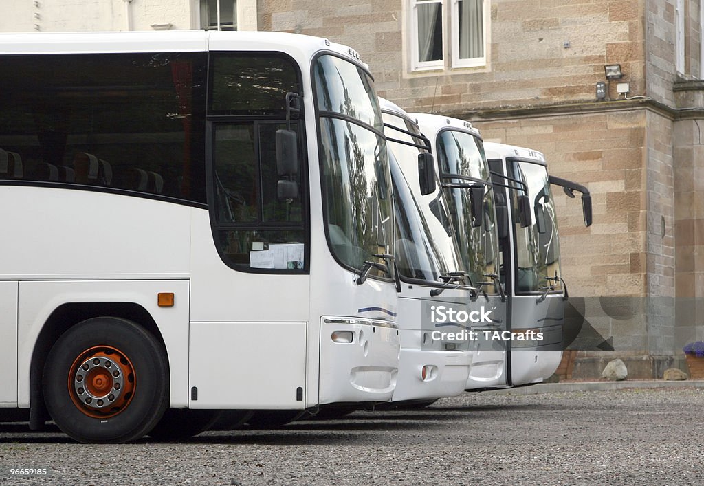 Cuatro blanco autobuses - Foto de stock de Flota de vehículos libre de derechos