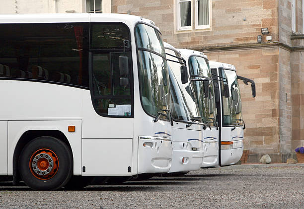 Four white buses stock photo