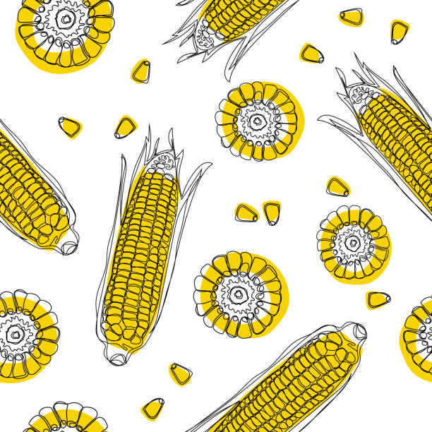 doodle ręcznie rysowany wektorowy bezszwowy wzór - corn on the cob obrazy stock illustrations